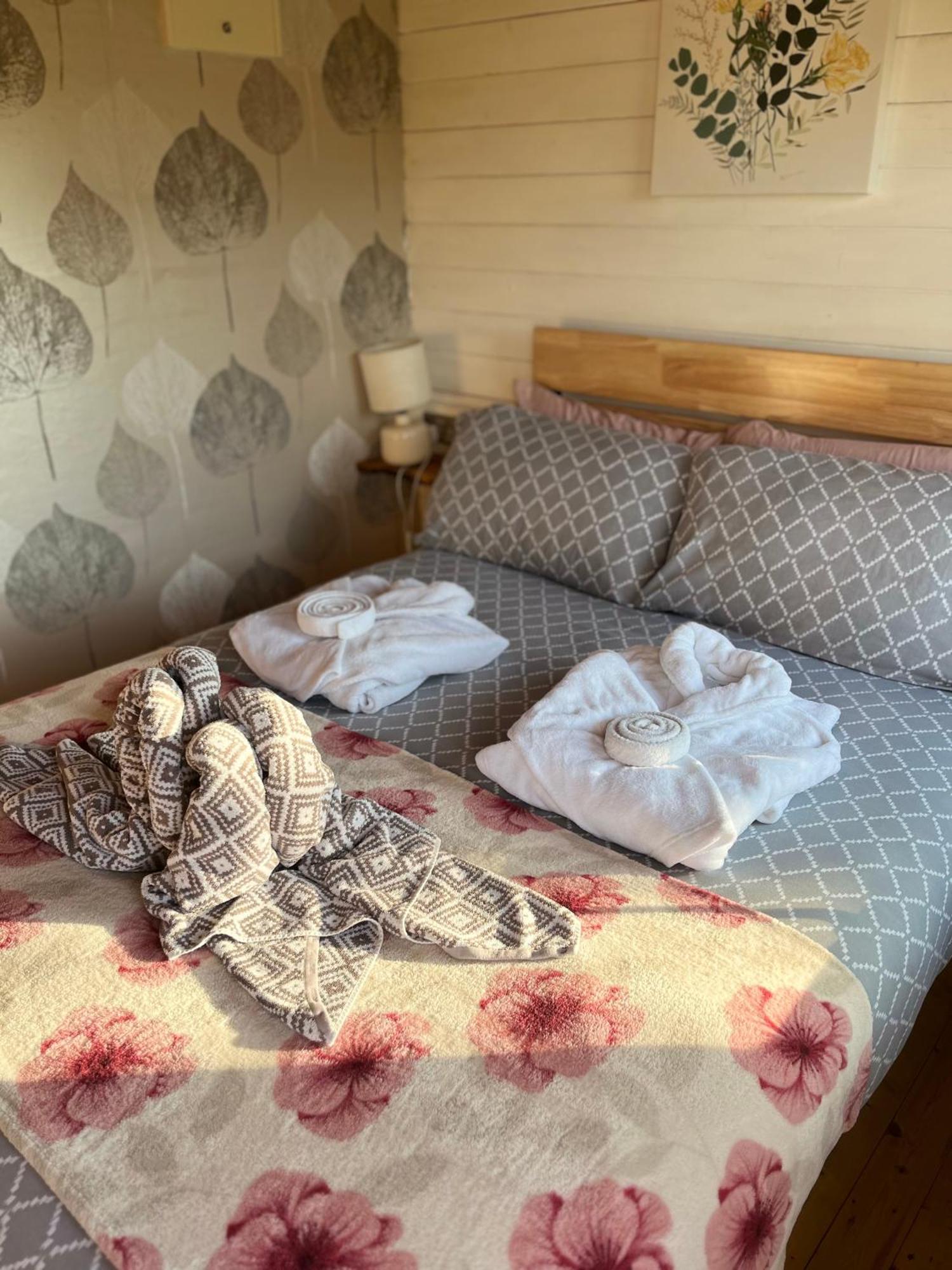 Ivy Rose Cabin No Hot Tub Bude Εξωτερικό φωτογραφία